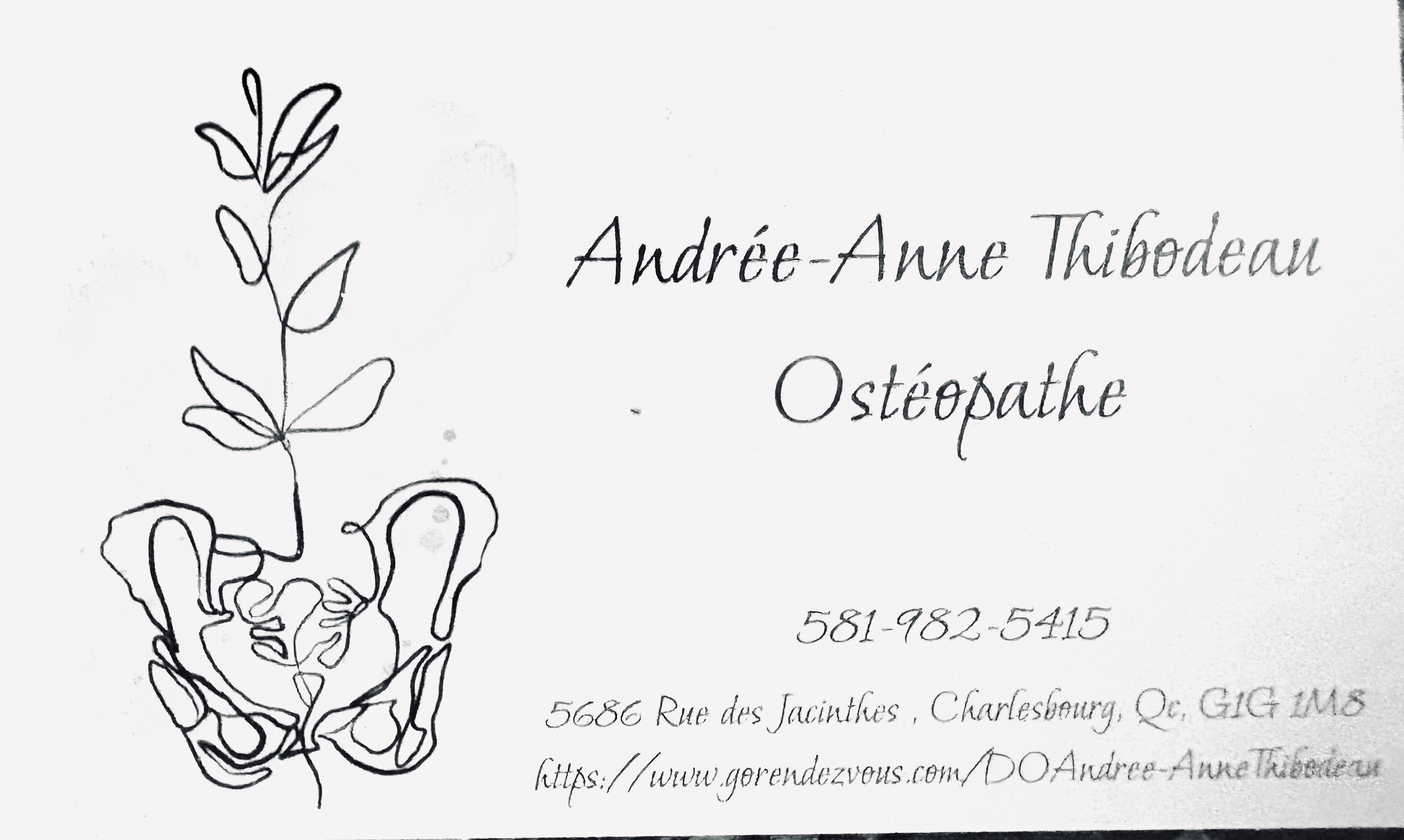 Ostéopathie Andrée-Anne Thibodeau